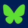 Bluesky Icon